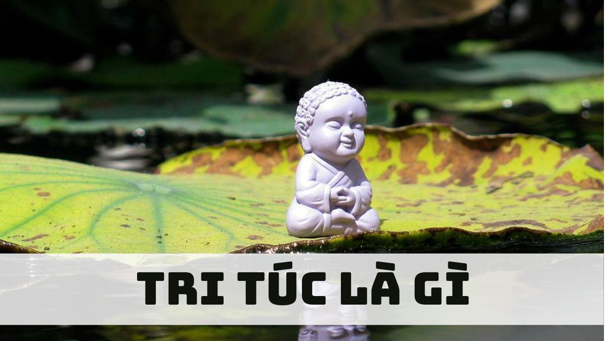 Tri túc là gì? Lợi ích của tri túc