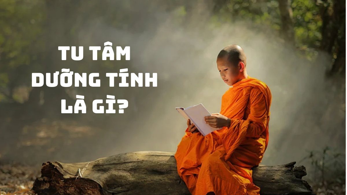 Tu tâm dưỡng tính là gì? Cách tu tâm dưỡng tính tại nhà